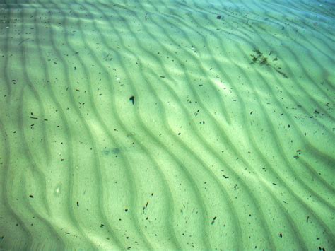  キーホルム！海底の砂を滑るように移動し、食物に飢えた口を開ける奇妙な多毛類